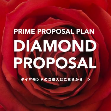 DIAMOND PROPOSAL