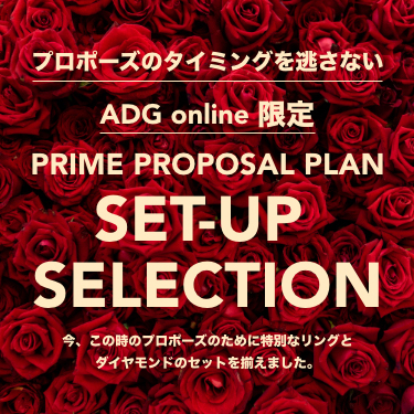 PRIME PROPOSAL PLAN