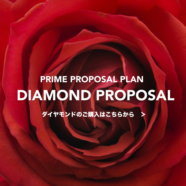 DIAMOND PROPOSAL