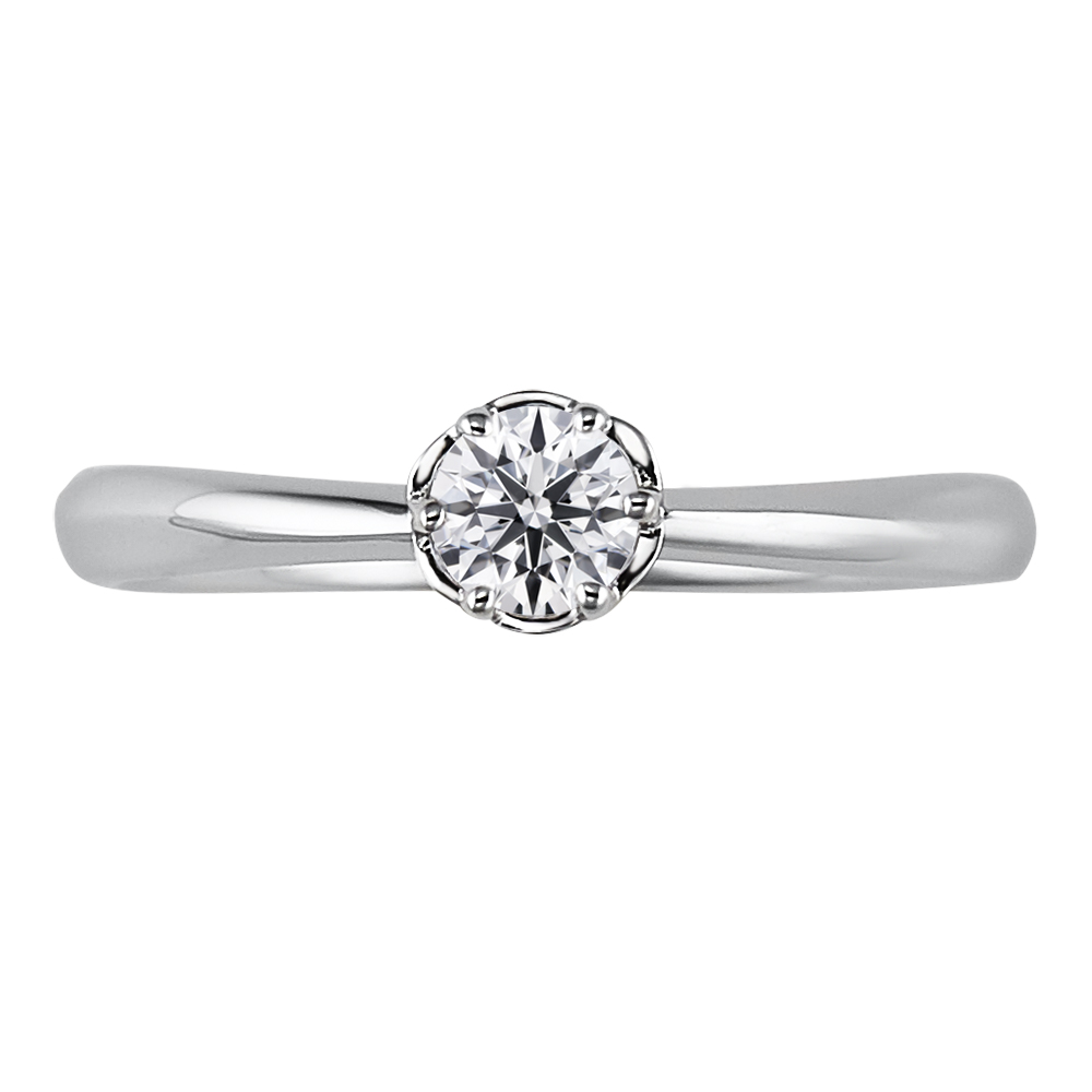 Flower Arch Pt900 0.2ct